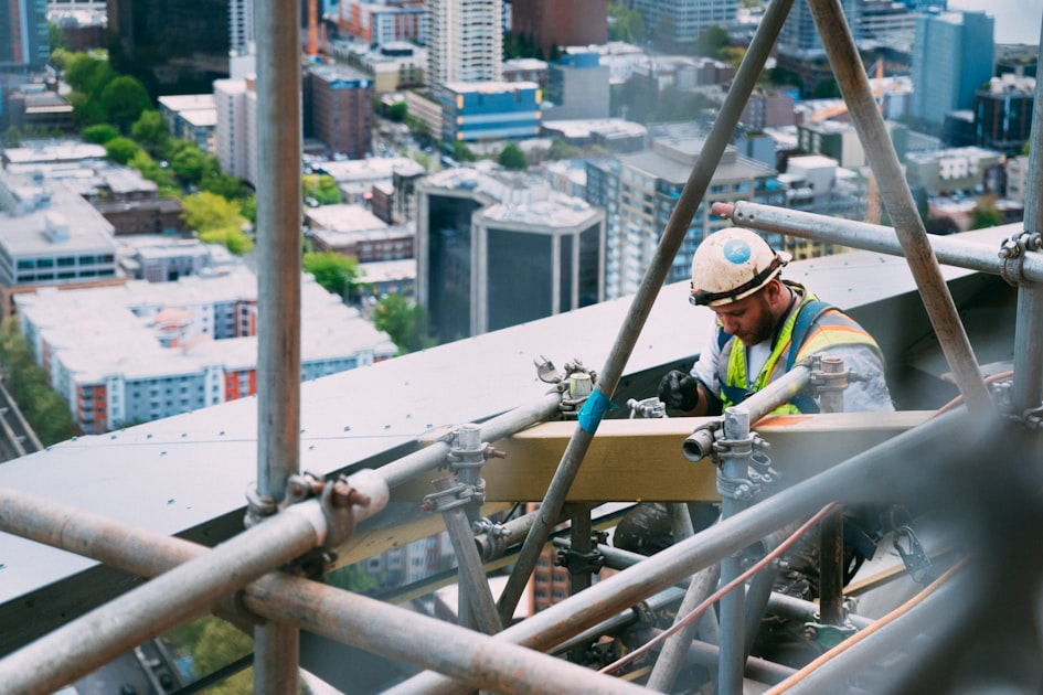 Expert Tree Services for Your Property