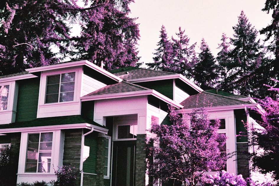 Transform Your Outdoor Space with NW Dreamscapes